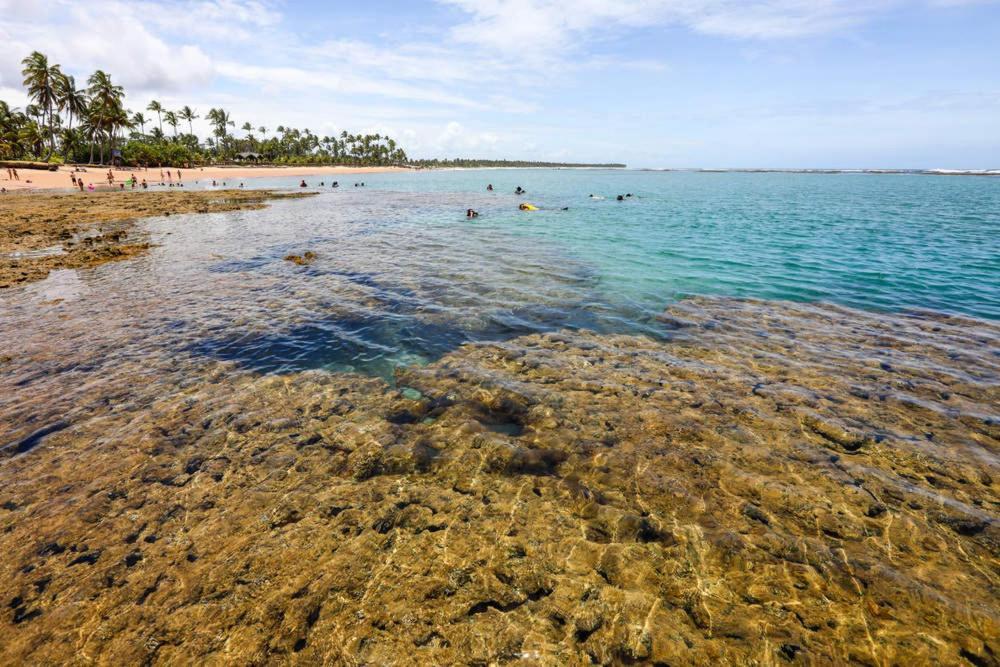 Flat Conchas E Corais - Village Paraiso Localizado Em Taipu De Fora, Peninsula De Barra Grande